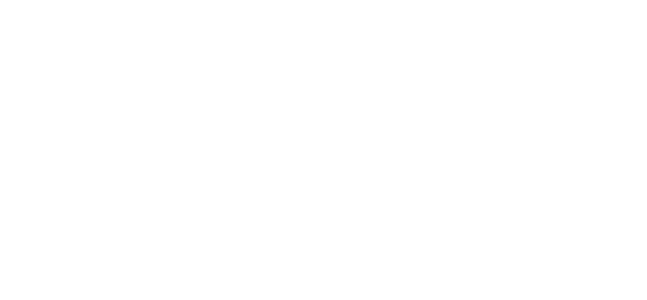 Northview Surveillance Group